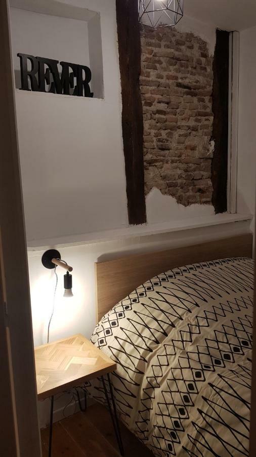 Appartement Avec Cour ★ Spacieux ★ Hyper Centre Castres  Buitenkant foto