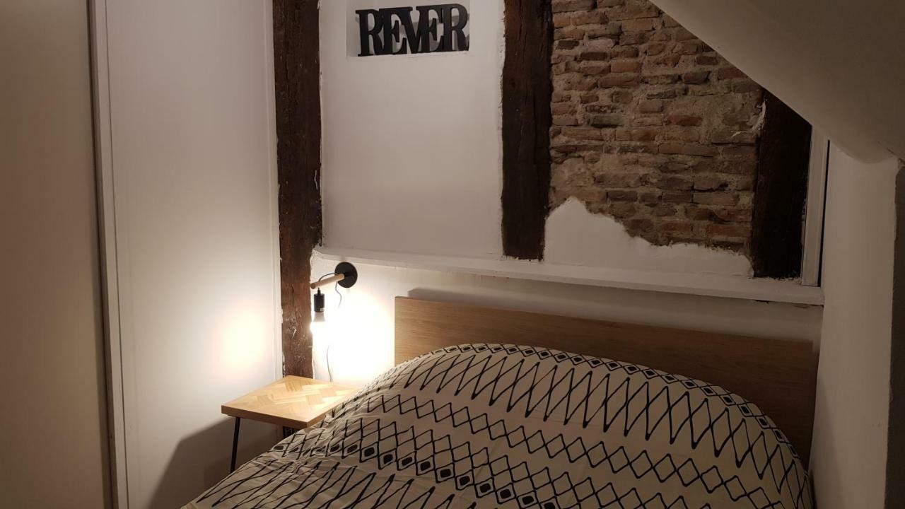 Appartement Avec Cour ★ Spacieux ★ Hyper Centre Castres  Buitenkant foto